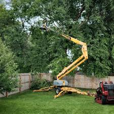 Best Tree Maintenance Programs  in Rockville Centre, NY